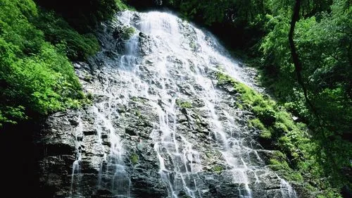 智慧高端